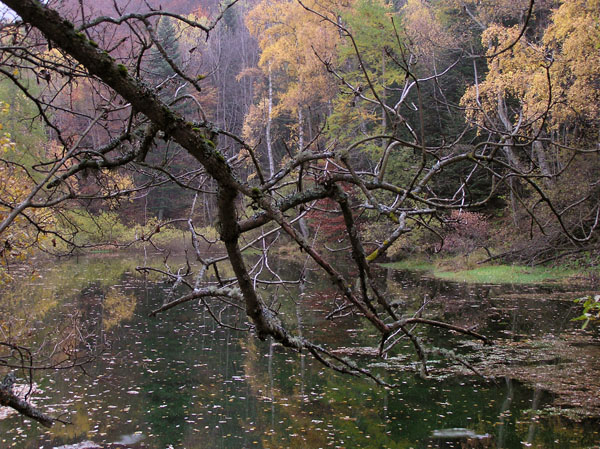 autunno in val di susa